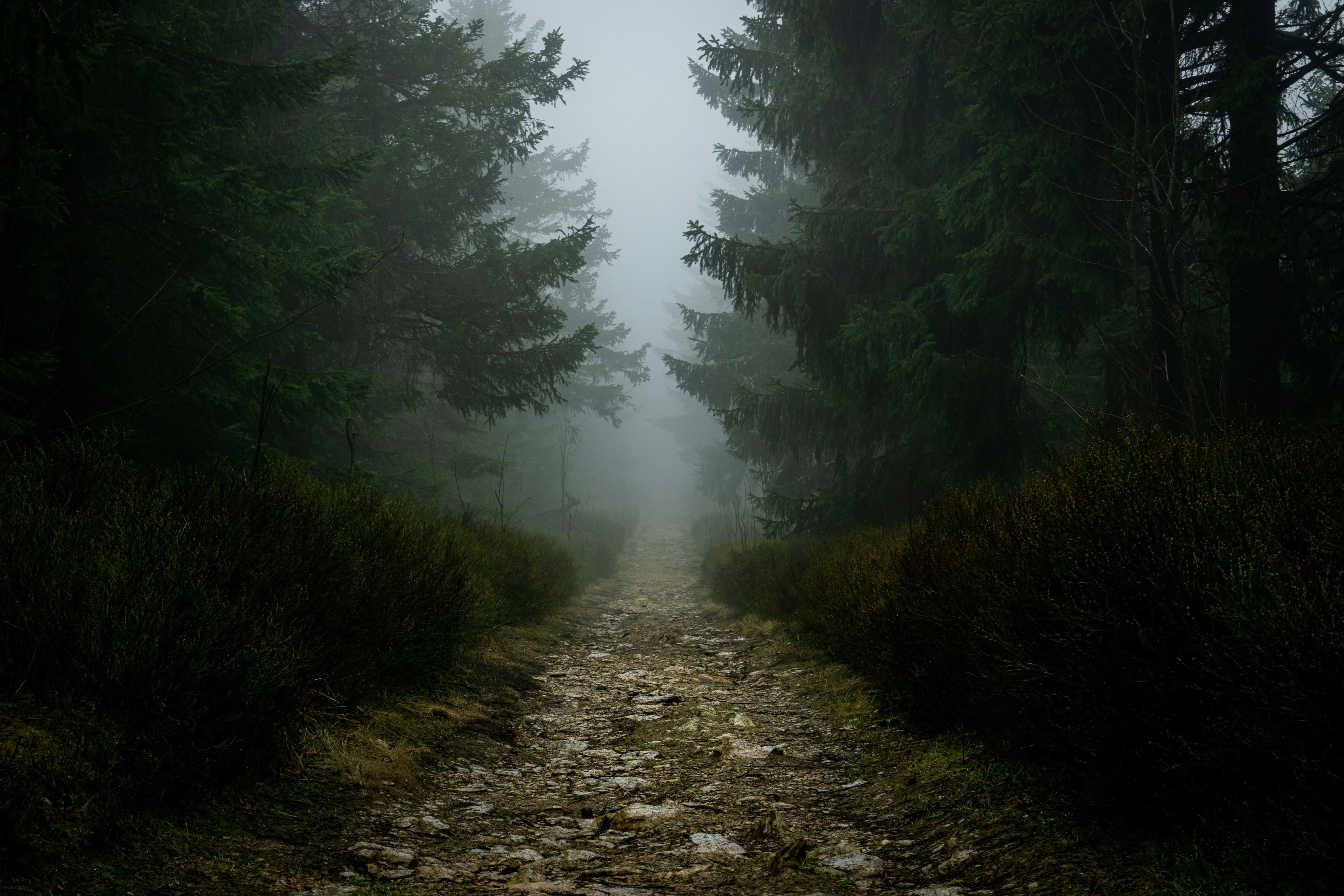 Hi, I'm Joshua Klenk-image